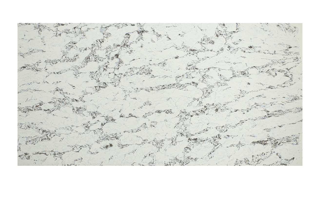 Calacatta Series LHQ9094